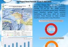 BMKG Sorong Rilis Aktivitas Gempa Sepekan di Papua Barat Daya