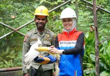Pertamina Patra Niaga Kilang Kasim Peringati Hari Keanekaragaman Hayati Dunia