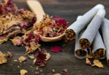 Rokok Herbal Tidak Kalah Berbahaya dari Rokok Biasa