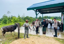 Wakapolda PBD Serahkan Hewan Kurban Iduladha ke Pondok Pesantren Fahd Al- Muslim