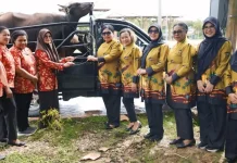 DWP Papua Barat Daya Salurkan Hewan Kurban ke 6 Daerah jelang Iduladha