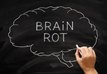 Apa Itu Brainrot dan Dampaknya?  Ini Penjelasannya