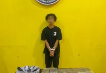 Satresnarkoba Polresta Sorong Kota Ungkap Peredaran Ganja Asal Jayapura