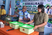 Hari Lingkungan Hidup, DLH Papua Barat Daya Tanam 400 Pohon dan Edukasi Pelajar
