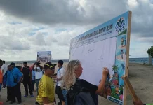 Peringatan Hari Lingkungan Hidup di Raja Ampat, Bersih Pantai hingga Edukasi