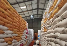 Bulog Sorong Siapkan Cadangan Pangan Darurat 100 Ton untuk Antisipasi Bencana