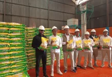 Tunggakan Pemda ke Bulog Capai Rp9 Miliar, Yan P. Mandenas Minta Segera Diselesaikan