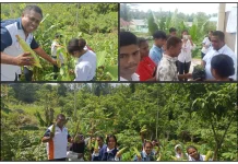 Menyemai Harapan Baru Bagi Anak Putus Sekolah di Kabupaten Sorong Selatan