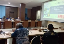 UNESCO akan Revalidasi Status Global Geopark Raja Ampat Mulai 18 Agustus 2026