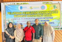 Pakan Berbasis Bahan Lokal Dorong Produktivitas Budidaya Mandiri di Sorsel