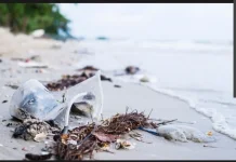 DLH Raja Ampat Soroti Ancaman Limbah dan Sampah terhadap Ekosistem Laut