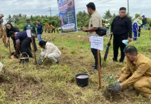 Suardi Thamal Ajak Warga Papua Barat Daya Jadikan Menanam Pohon Sebagai Budaya