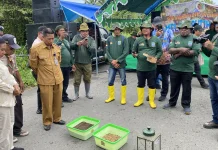 Maggot ternyata Bisa Kurangi Emisi Gas Metana dari Sampah Organik
