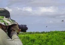 Birdwatching dan Kicau Mania Hobi yang Kembali Populer