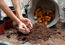 Pupuk Gratis Dari Sisa Makanan yang Jarang Diketahui