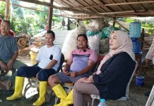 Rumah Maggot di Papua Barat Daya Jadi Solusi Keberlangsungan Lingkungan