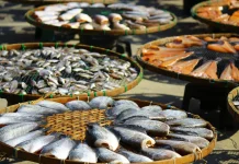 Ikan Air Asin vs Air Tawar: Mana yang Lebih Sehat untuk Dikonsumsi?