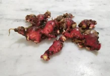 4 Alasan Jahe Merah Wajib Ada di Rumah