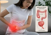 Sering Makan Pedas, Apakah Bisa Terkena Radang Usus Buntu? Ini Faktanya!