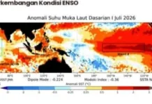 BMKG Sorong: El Nino Tingkatkan Risiko Kebakaran Hutan di Papua Barat Daya
