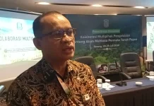 Mahkota Permata Tanah Papua Butuh Kolaborasi Dua Provinsi dan Pemerintah Pusat