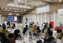 Pemprov PBD dan SKALA Perkuat Tata Kelola Satu Data Melalui Portal Cenderawasih