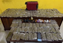 Satresnarkoba Polresta Sorong Kota Gagalkan Peredaran 5,4 Kilogram Ganja