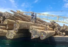 Koarmada III Berhasil Gagalkan Dugaan Pelanggaran Pengangkutan Kayu Log