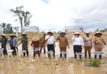 Penanaman Perdana Padi di Moswaren, Wagub PBD Tegaskan Komitmen Bangun Pertanian