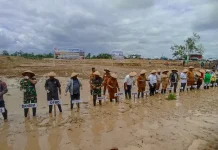 Pemerintah Kabupaten Sorong Selatan Buka 1.440 Hektare Lahan Cetak Sawah Rakyat