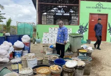 DLH PBD Kembangkan Rumah Maggot KELI untuk Masa Depan Ekonomi dan Ekologi