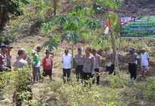 Polresta Sorong Kota Bagikan 100 Bibit Pohon Gratis