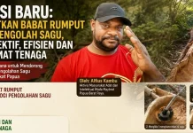 Inovasi Mesin Babat Rumput Bantu Pengolahan Sagu