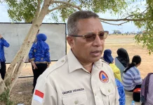 Karhutla Masih Mengancam, BPBD PBD Imbau Warga Tak Bakar Lahan Sembarangan
