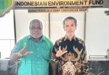 Kadis LH PBD Bahas Pendanaan Lingkungan, Dirut BPDLH Siap Hadiri Papeda Summit