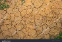 Kemarau Panjang El Nino Tiba, Waspadai Deretan Penyakit Mengintai Ini