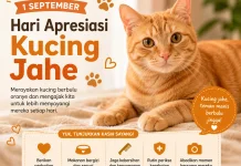 Hari Kucing Jahe 1 September: Ajak Masyarakat Tingkatkan Kepedulian