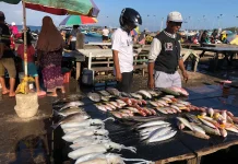 Ombak dan Angin Kencang, Harga Ikan di Sorong Melonjak