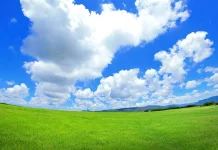 Hari Udara Bersih untuk Langit Biru Internasional