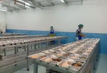 10 Dapur MBG di Raja Ampat Disiapkan Beroperasi September 2026