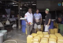 Kepala DLH PBD Kelly Kambu Dorong Ampas Tahu Jadi Pakan Maggot