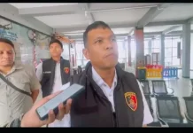 Polisi Siapkan Penyidikan Kasus Dugaan Perburuan Penyu Sisik oleh WNA Tiongkok
