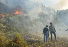 Polres Tambrauw Padamkan Kebakaran Lahan di Sekitar Kediaman Wakil Bupati