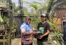Kunjungi Botanical Garden, DLH PBD Dorong Tanaman Endemik Papua Ada Ruang Publik