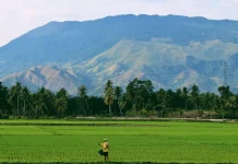 Alasan Kenapa Gen Z Harus Terjun di Dunia Pertanian