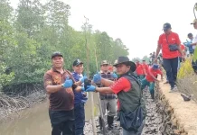 BKHIT Papua Barat Daya Melaksanakan Penanaman 200 Bibit Mangrove