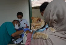 105 Anjing dan Kucing Divaksin, Barantin Jaga PBD Tetap Bebas Rabies