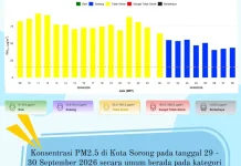 Kualitas Udara Kota Sorong Tidak Sehat, PM2.5 Tembus 93,6 µg/m³”