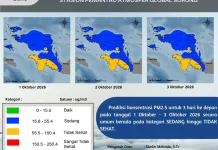 Prediksi Kualitas Udara Sejumlah Daerah Diprakirakan Tidak Sehat