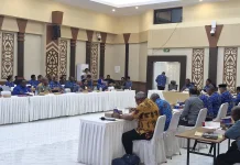 Gubernur Elisa Kambu Dorong Kabupaten/Kota se-PBD Dukung Percepatan PSN